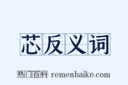芯反义词是什么意思的图片